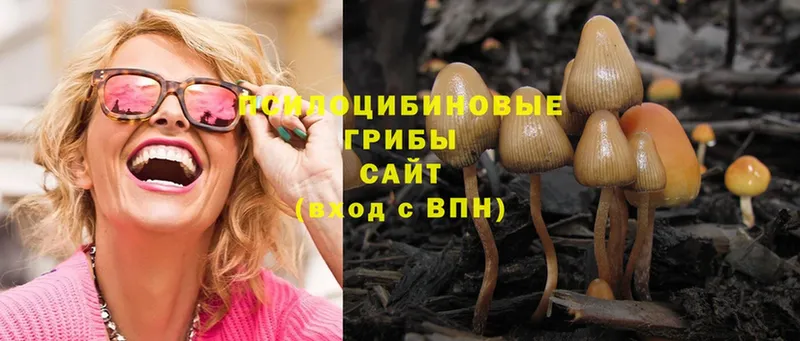 Галлюциногенные грибы Magic Shrooms  Бабаево 